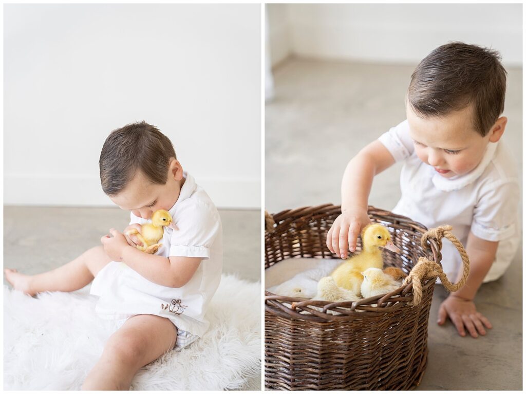 Kayla Brint Photography Heirloom Baby Chicks Session 